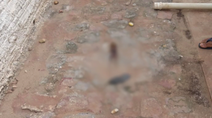 Feto é encontrado próximo a caixa d’agua de presídio em Timon