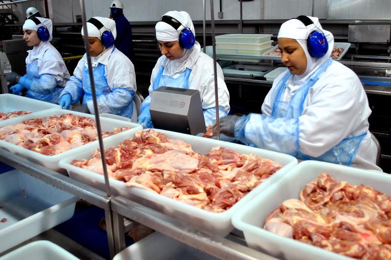 Frango da Perdigão será recolhido por risco de bactéria