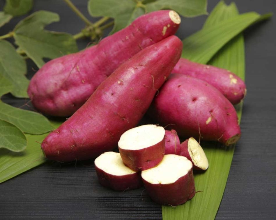 batata-doce-3-mudas-preparadas-cultivo-sem-agrotoxico-D_NQ_NP_793058-MLB25896223152_082017-F
