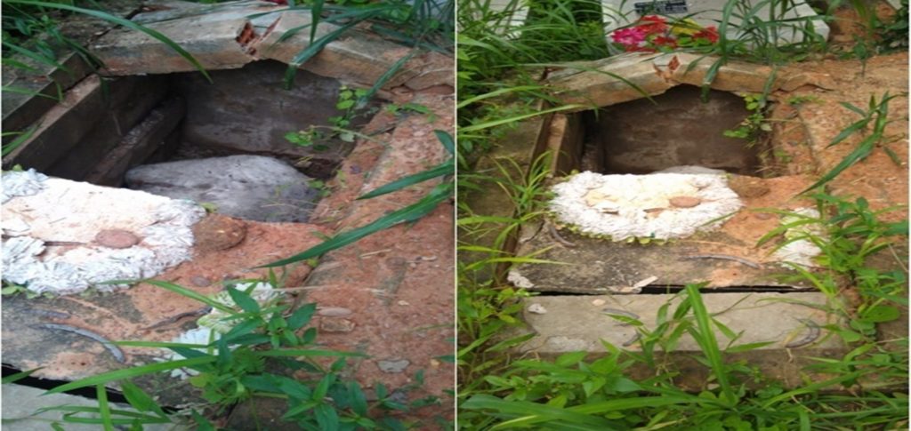 Cavalo é encontrado morto dentro de cova em cemitério no PiauíCavalo é encontrado morto dentro de cova em cemitério no Piauí
