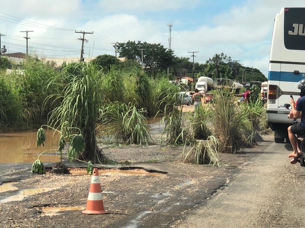 População planta cana-de-açúcar e melancia em protesto na BR-316; veja fotos e vídeos
