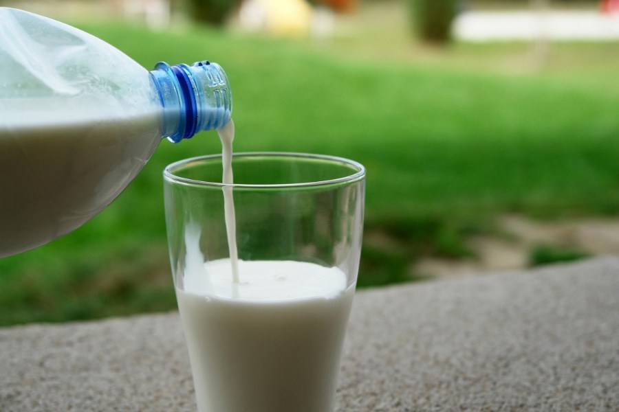 Copo de Leite - Lactose - Presença lactose e açúcar