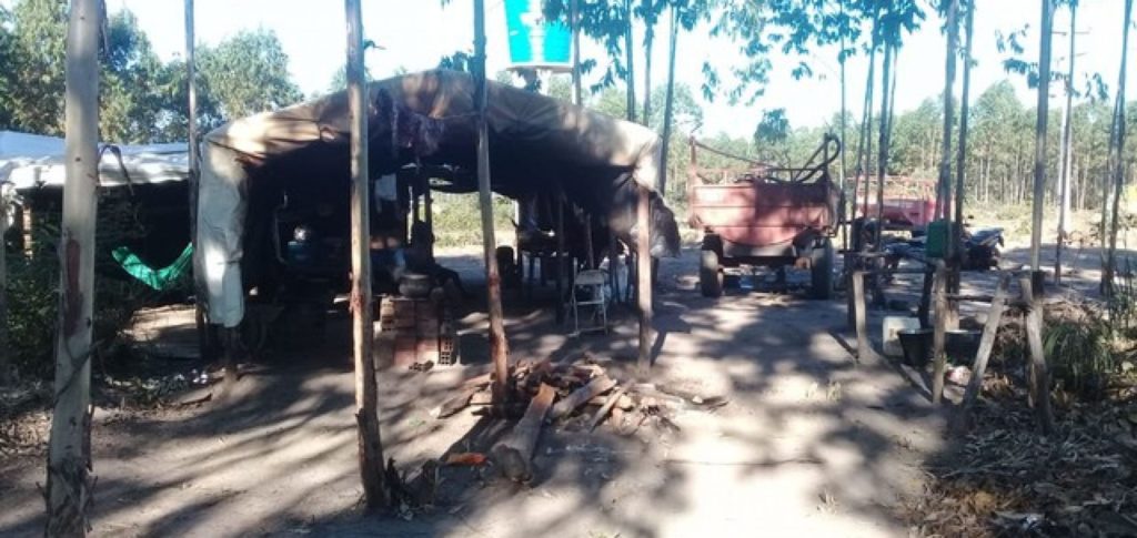 Lavradores são resgatados após denunciar condições análogas à escravidão em fazenda do Piauí