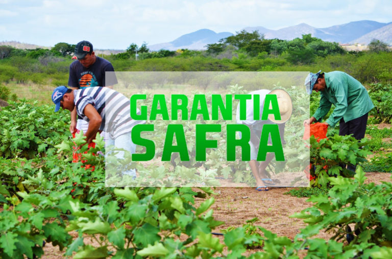 Prefeitura de Araripina realiza entrega de boletos do Garantia Safra nesta sexta-feira (24) Prefeitura de Araripina realiza entrega de boletos do Garantia Safra nesta sexta-feira (24)