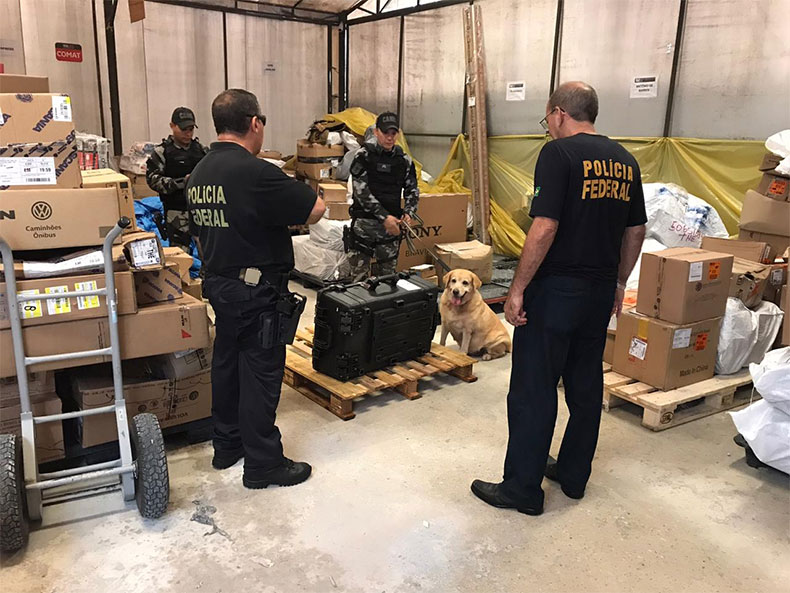 Polícia Federal realiza fiscalização com cães farejadores no aeroporto de Teresina
