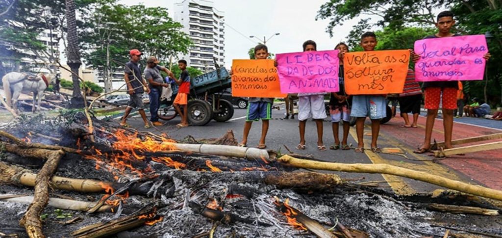 Carroceiros queimam pneus e bloqueiam avenida em cidade do Piauí