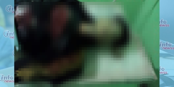 Fundo-Postagem-InfoNewss-660x330