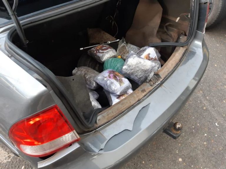 Homem é preso com droga escondida em carro na BR-316 Homem é preso com droga escondida em carro na BR-316