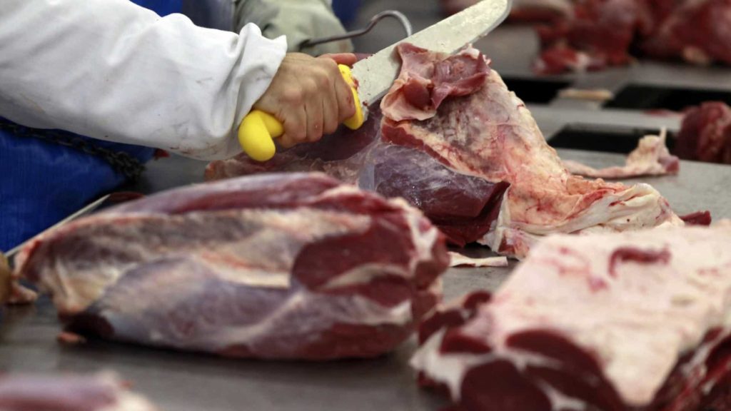 frigoríficos - Carnes