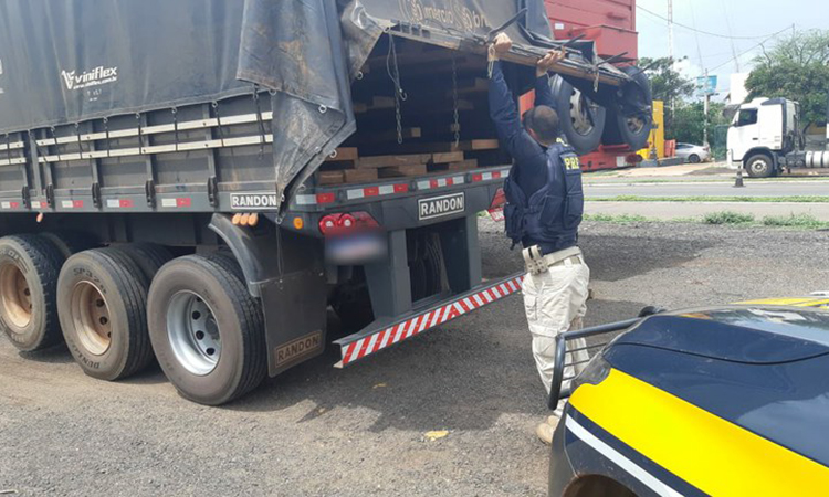 PRF autua caminhoneiro por Porte de Droga e Crime Ambiental na BR 316