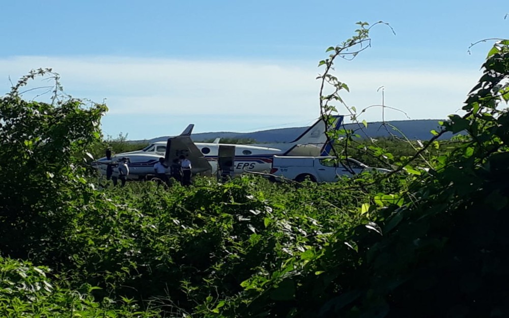 Avião com vacinas da Covid-19 bate em jumento em pista de aeródromo na Bahia