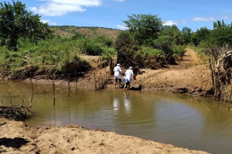 Covid-19 | Pela 1ª vez, Piauí tem mais pessoas vacinadas do que infectados Covid-19 | Pela 1ª vez, Piauí tem mais pessoas vacinadas do que infectados
