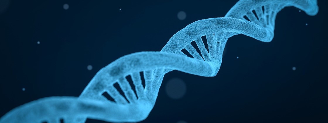 DNA