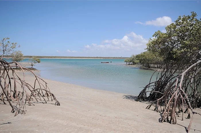 Empresários-criticam-fechamento-de-acessos-a-Cajueiro-da-Praia-por-conta-da-Covid-19