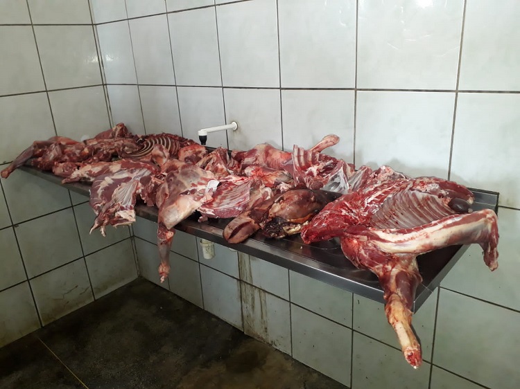 Fiscalização encontra carne imprópria para o consumo sendo comercializada em Oeiras