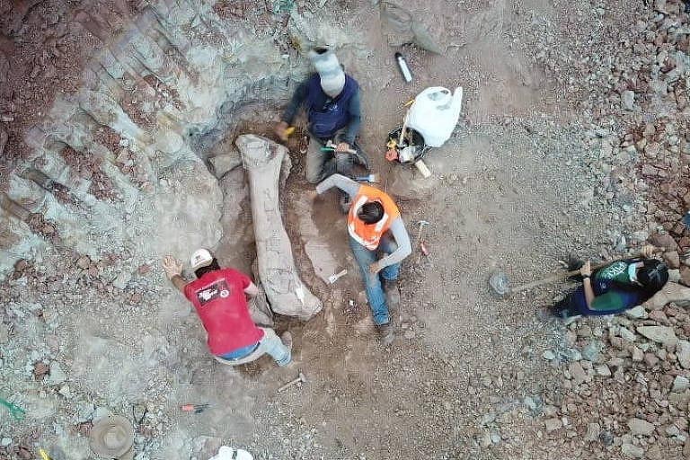 Fóssil de dinossauro gigante é encontrado em obra de ferrovia no Maranhão