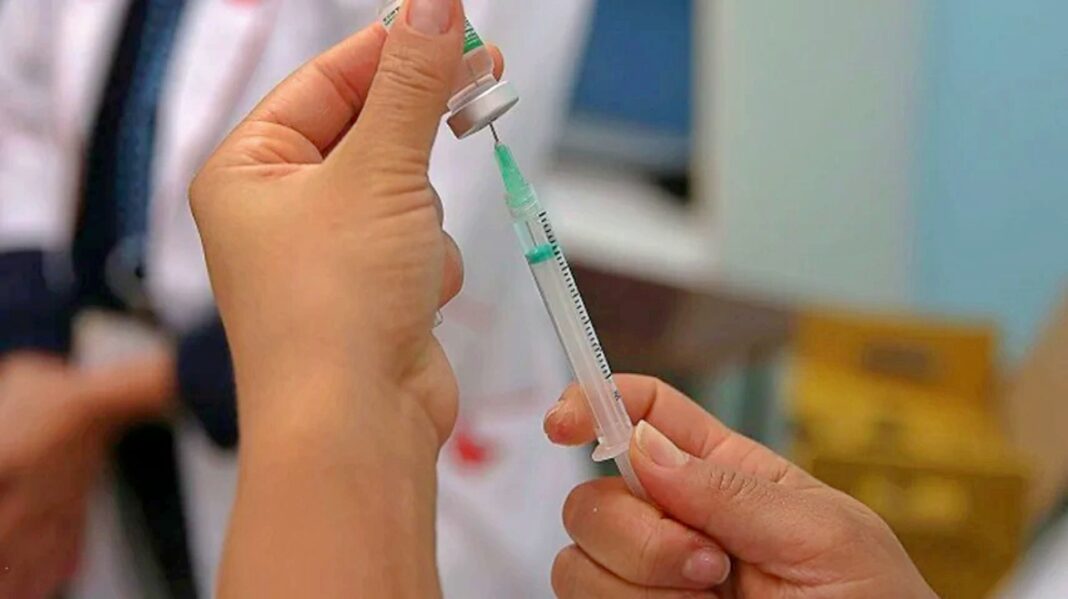 batch_dengue-com-aumento-de-casos-brasil-recebe-750-mil-doses-de-vacina-para-aplicacao-4bcdaf2b-4a64-4a7f-b588-40c46305b115