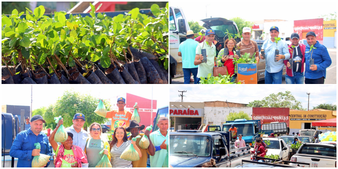 Prefeitura de Padre Marcos beneficia agricultores com entrega de sementes e mudas de caju