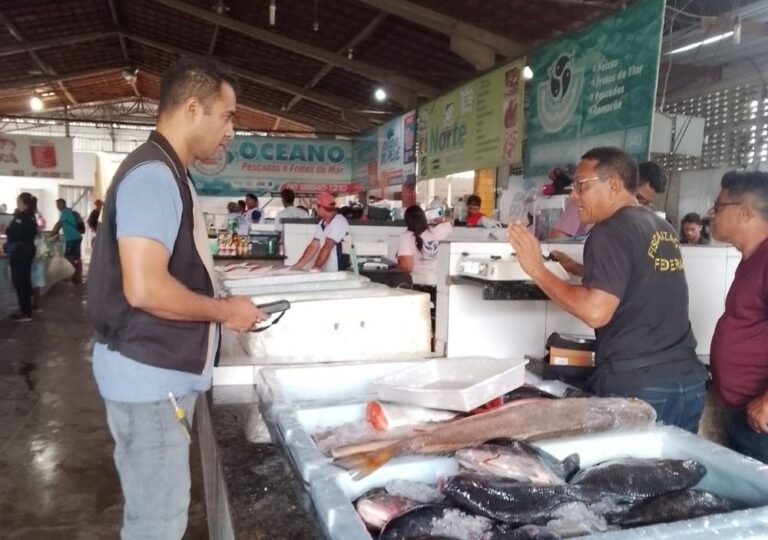 Operação Páscoa: Imepi realiza fiscalização no Mercado do Peixe Operação Páscoa: Imepi realiza fiscalização no Mercado do Peixe