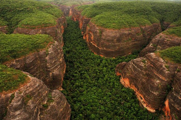 Um dos maiores fotojornalista da caatinga, André Pessoa lança livro em São Paulo Foto: André Pessoa