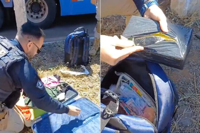 Mulher de 24 anos é presa em Picos transportando 13,7 kg de cocaína em ônibus