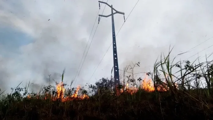 equatorial-uma-ocorrencia-de-falta-de-energia-devido-queimadas-a-cada-2-dias-68b19bcc-8a65-4093-b2b0-30bfb677f718.jpg