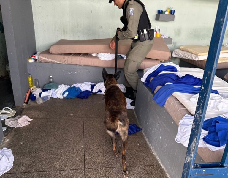 Polícia Penal realiza vistorias em presídios na Operação Cidade Verde Polícia Penal realiza vistorias em presídios na Operação Cidade Verde