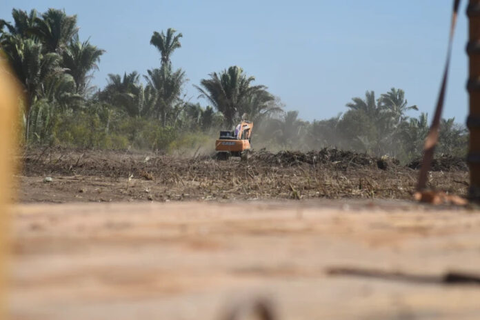 Minha Casa, Minha Vida - governo inicia construção de 132 casas em Teresina Foto: Assis Fernandes / O DIA