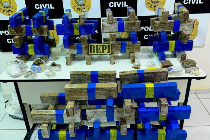 Polícia apreende quase 100kg de maconha em residência usada como depósito em Teresina