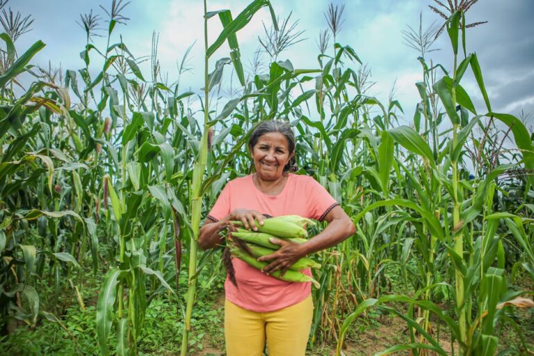 Mais de 80% dos alimentos do PAA vêm da produção de mulheres rurais Mais de 80% dos alimentos do PAA vêm da produção de mulheres rurais