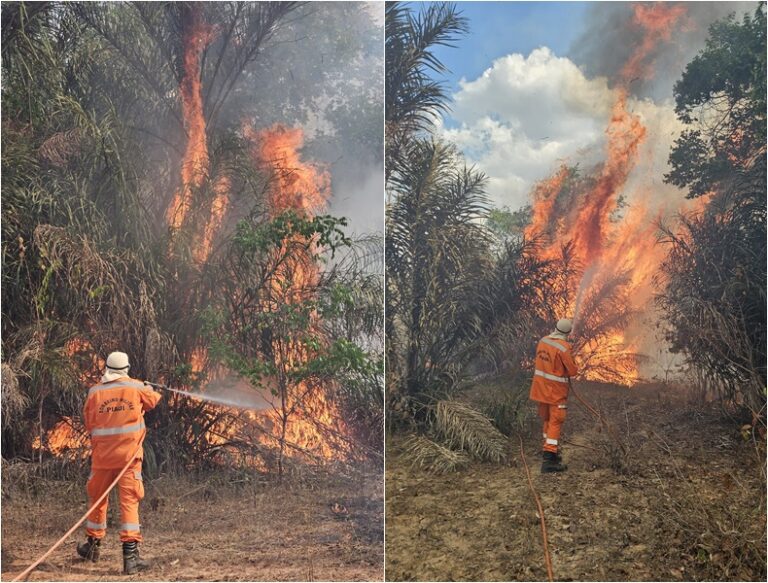 Após quatro dias, incêndio que ameaçou casas entre o PI e CE é controlado Após quatro dias, incêndio que ameaçou casas entre o PI e CE é controlado
