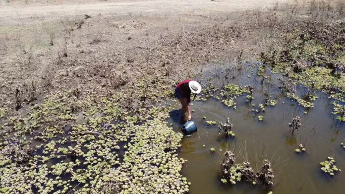 É suja, mas não tem outra - a crise hídrica e os desafios da população no Piauí Moradora pega água suja em açude durante forte seca no Piauí — Foto: Reprodução/TV Clube