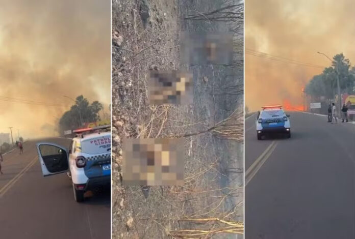 Incêndio causa morte de quatro pessoas da mesma família no Piauí