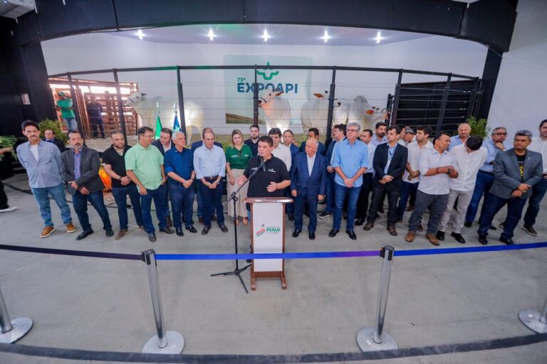 Expoapi 2024 é aberta em Teresina e deve gerar R$ 300 milhões em negócios e atrair 400 mil pessoas Expoapi 2024 é aberta em Teresina e deve gerar R$ 300 milhões em negócios e atrair 400 mil pessoas