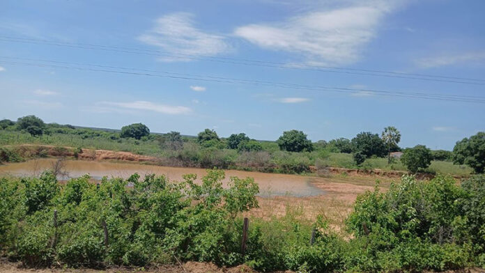 Seca Verde impacta produção agrícola em 13 municípios do Piauí;