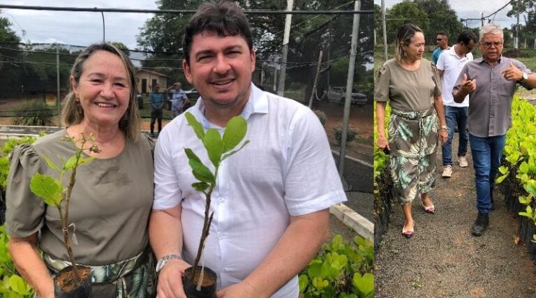 Secretária de Agricultura de Picos visita Viveiro de Mudas em Ipiranga do PI para fomentar cultivo no município Secretária de Agricultura de Picos visita Viveiro de Mudas em Ipiranga do PI para fomentar cultivo no município