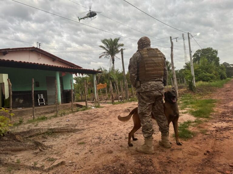 Operação integrada contra organização criminosa desativa sistema de vigilância e prende quatro no PI Operação integrada contra organização criminosa desativa sistema de vigilância e prende quatro no PI