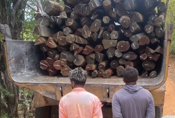 PM prende motorista e passageiro por transporte ilegal de madeira no interior do Piauí