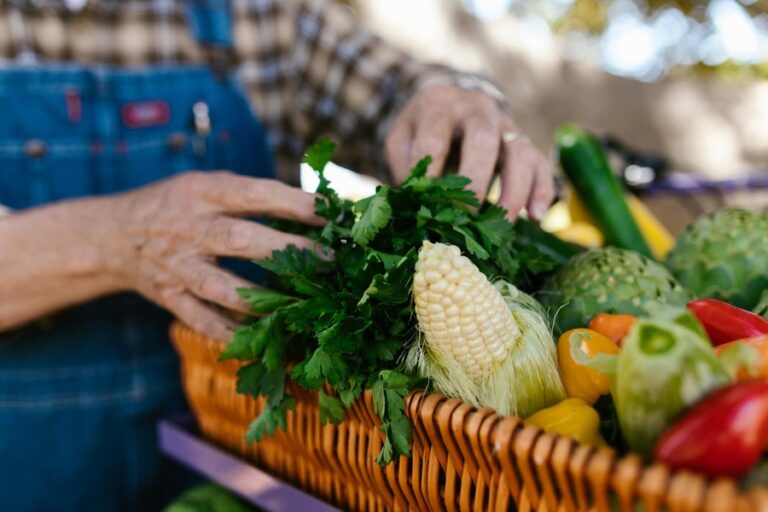 Araripina lança programa Chega Junto Rural com serviços para agricultores Araripina lança programa Chega Junto Rural com serviços para agricultores