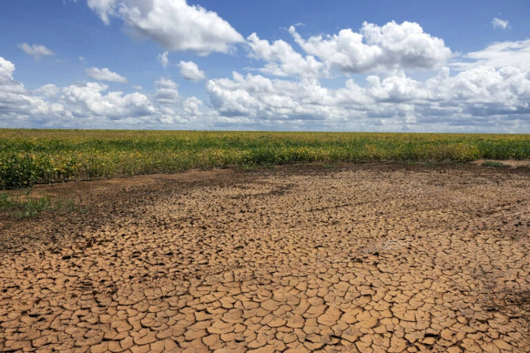 Piauí tem 129 cidades em emergência e seca deve avançar para mais regiões Piauí tem 129 cidades em emergência e seca deve avançar para mais regiões