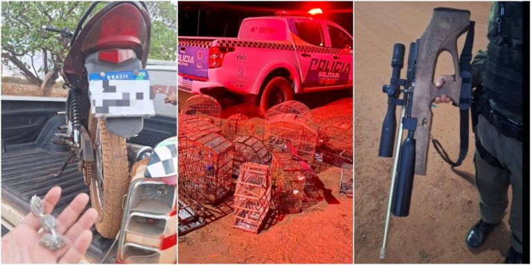 PM apreende armas, drogas e aves silvestres na zona rural de Santo Antônio de Lisboa PM apreende armas, drogas e aves silvestres na zona rural de Santo Antônio de Lisboa