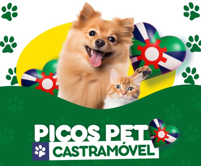 Picos Pet Castramóvel - Picos inicia mutirão de castrações com meta de mil procedimentos em agosto