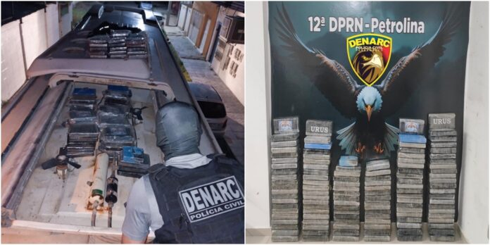 Polícia Civil apreende 128 kg de cocaína e prende suspeito em Petrolina