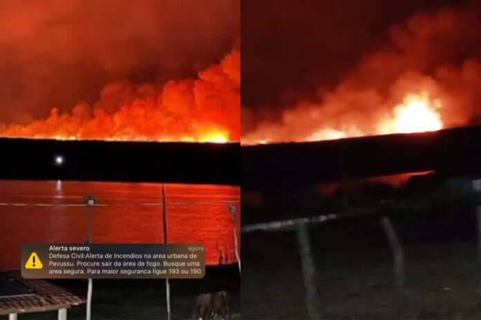 Incêndio já destruiu área equivalente a 11 mil campos de futebol no Sul do Piauí