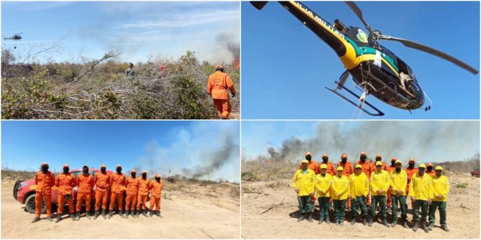 Incêndio no Sul do Piauí mobiliza força-tarefa e helicóptero da PM reforça combate; fogo deve ser extinto até quinta-feira (07)