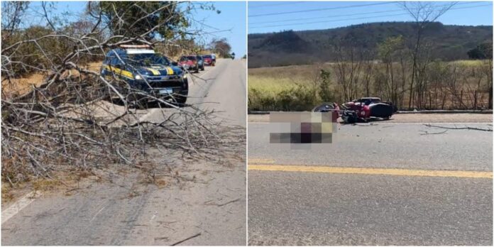Motociclista morre em acidente na BR-316 próximo a Araripina um mês antes de completar 69 anos