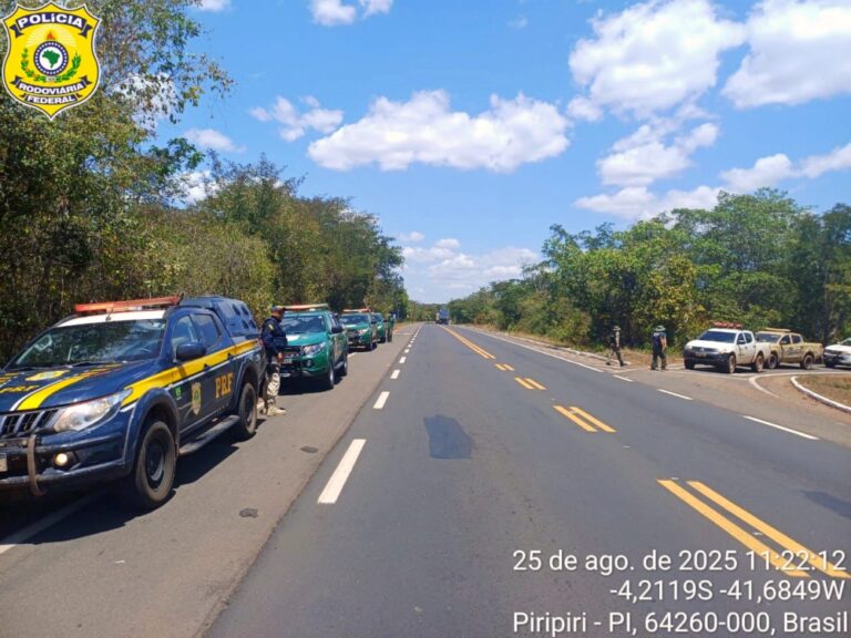 Operação flagra criação irregular com 18 caititus e 30 cutias em no Piauí Operação flagra criação irregular com 18 caititus e 30 cutias em no Piauí
