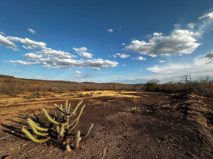 seca extrema - seca - calor - chuva - semiárido - sertão do Piauí