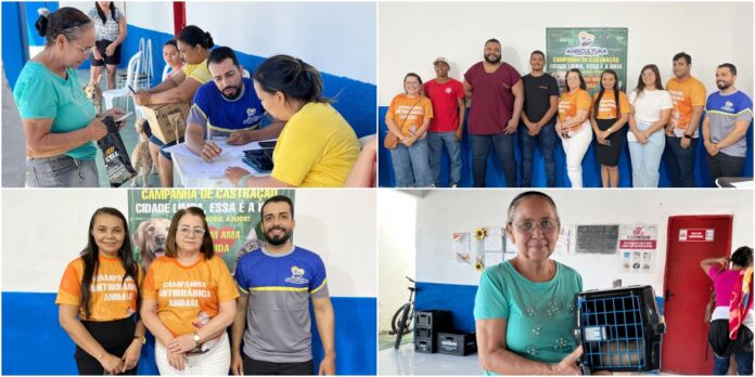 Campanha de castração pet realiza procedimentos gratuitos em Padre Marcos