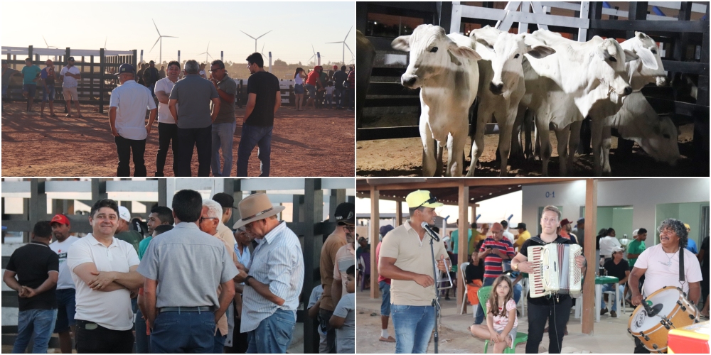 Nova feira livre dos animais começa a funcionar em Marcolândia